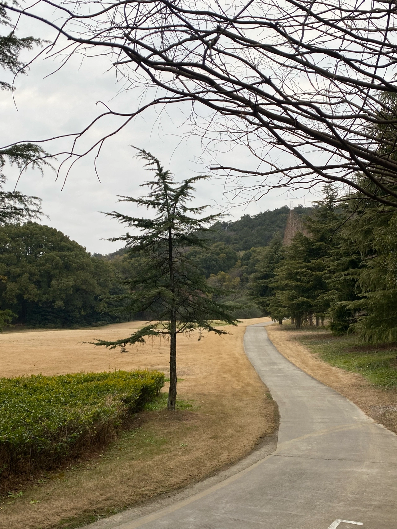 健身运动锻炼爬山早餐早茶(一家人慢悠悠爬了半天山 然后在山脚喝了茶 )-喵神素材库