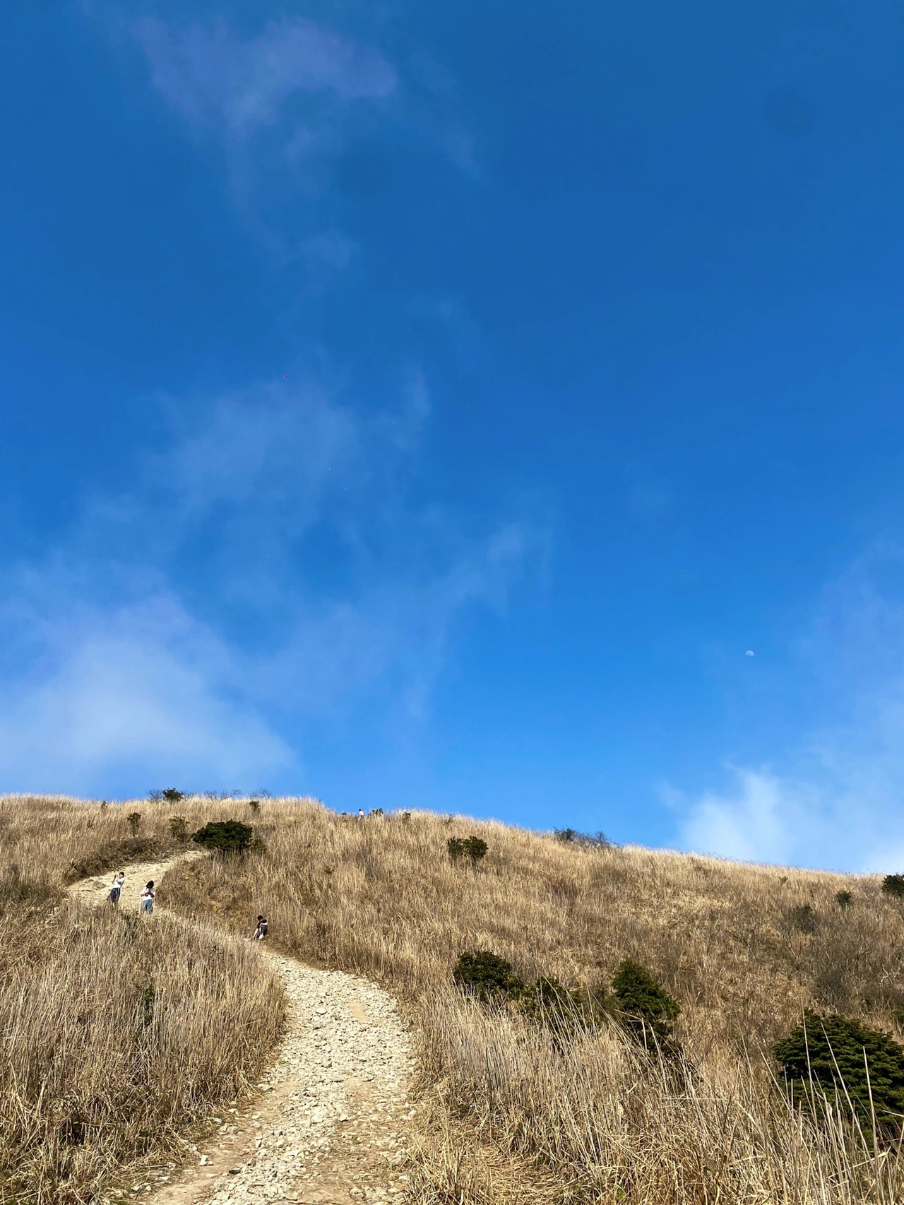 爬山风景日出摄影拍照(准备好充足的水 和充沛的体力 挑个好天气就出发吧～ 去好好感受大自然里的风和光)-喵神素材库